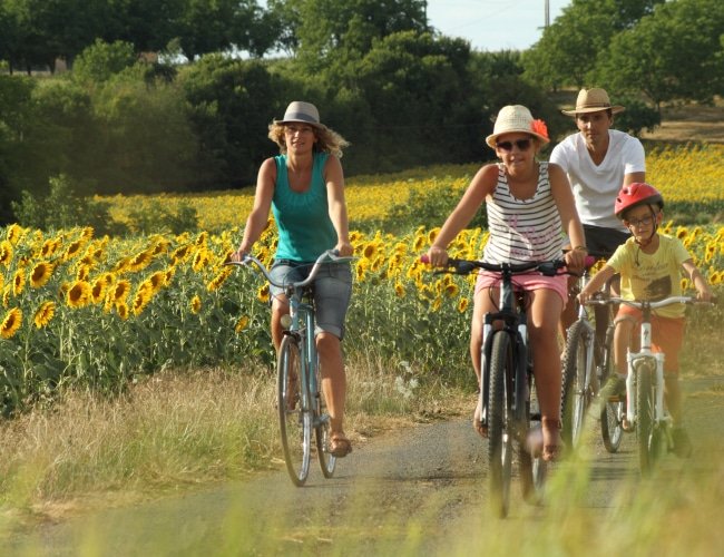 2 femmes, un homme et un garçon à vélo sur une petite route qui longent un champs de tournesols